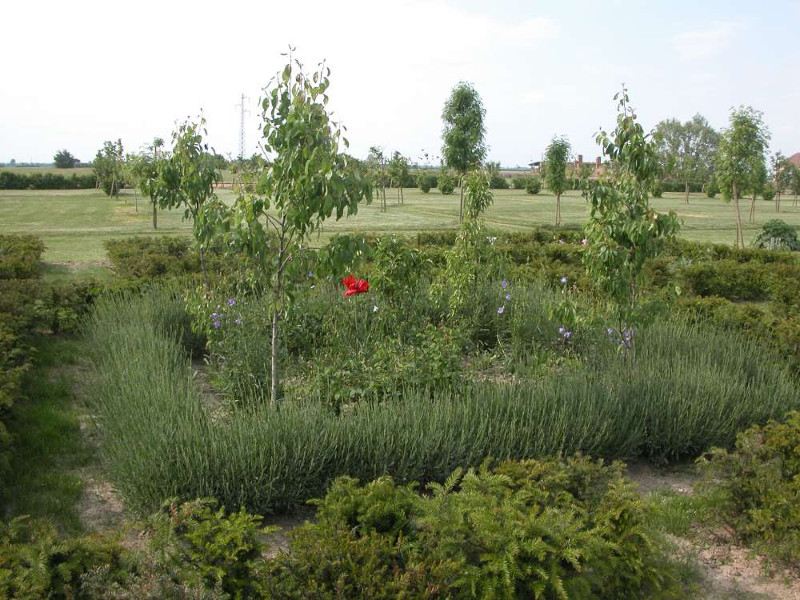 Verginese Castle's brolo