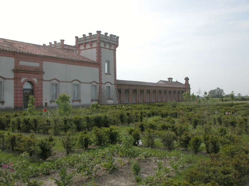 Verginese Castle's brolo